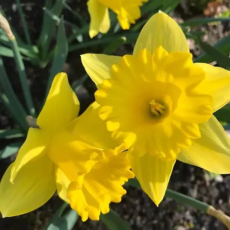 Ferienhaus Park Paernu With Sauna Aasa