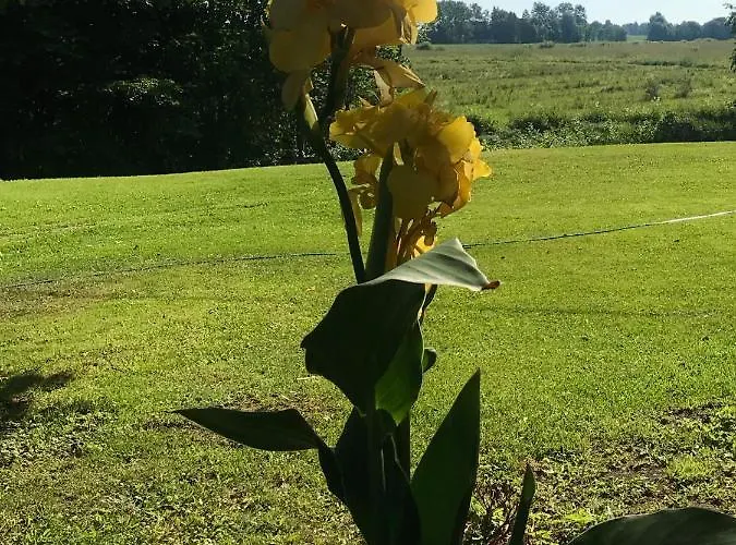 Park Paernu With Sauna