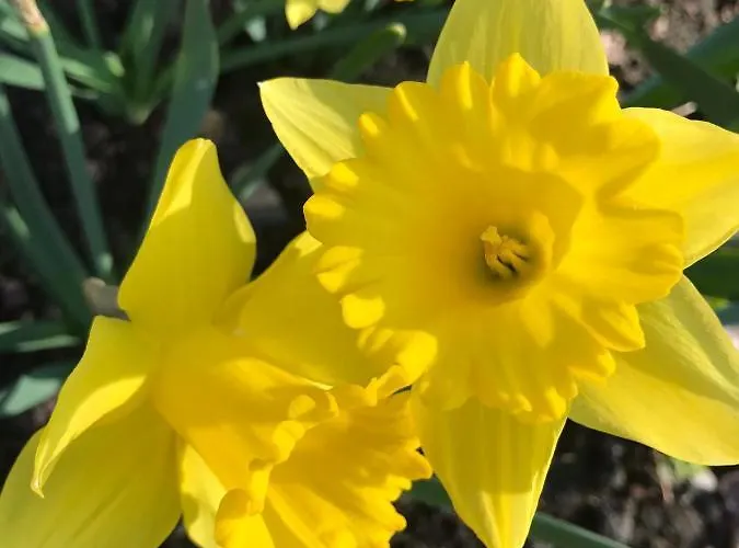 Holiday home Park Paernu With Sauna Aasa